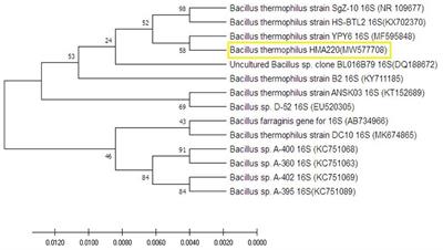 Exploring the antibacterial potential of plant extracts and essential oils against Bacillus thermophilus in beet sugar for enhanced sucrose retention: a comparative assessment and implications